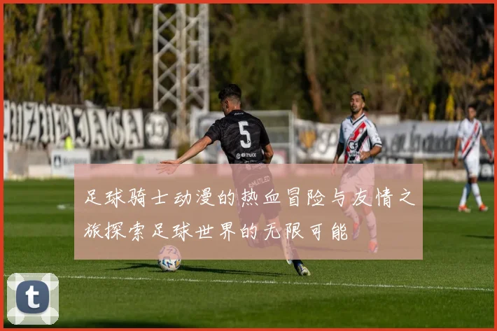 足球骑士动漫的热血冒险与友情之旅探索足球世界的无限可能